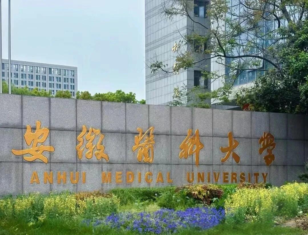 實力護航！熱烈祝賀我公司成功承接安徽醫科大學新醫科中心舞臺防火大幕項目